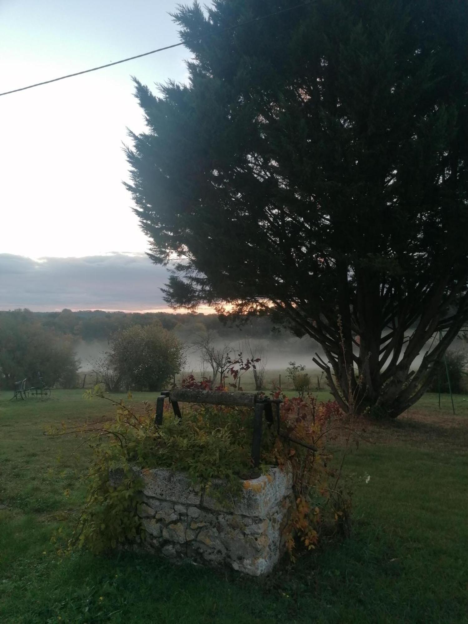 Gite 4 Pers, Jacuzzi, Piscine, Proche Futuroscope, Calme Et Nature A La Roche Posay لاروش بوزيه المظهر الخارجي الصورة