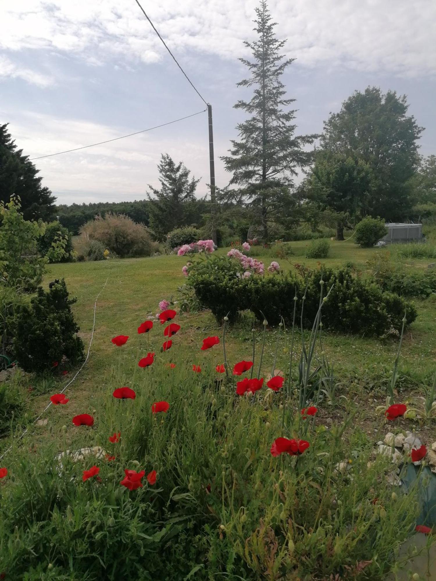 Gite 4 Pers, Jacuzzi, Piscine, Proche Futuroscope, Calme Et Nature A La Roche Posay لاروش بوزيه المظهر الخارجي الصورة