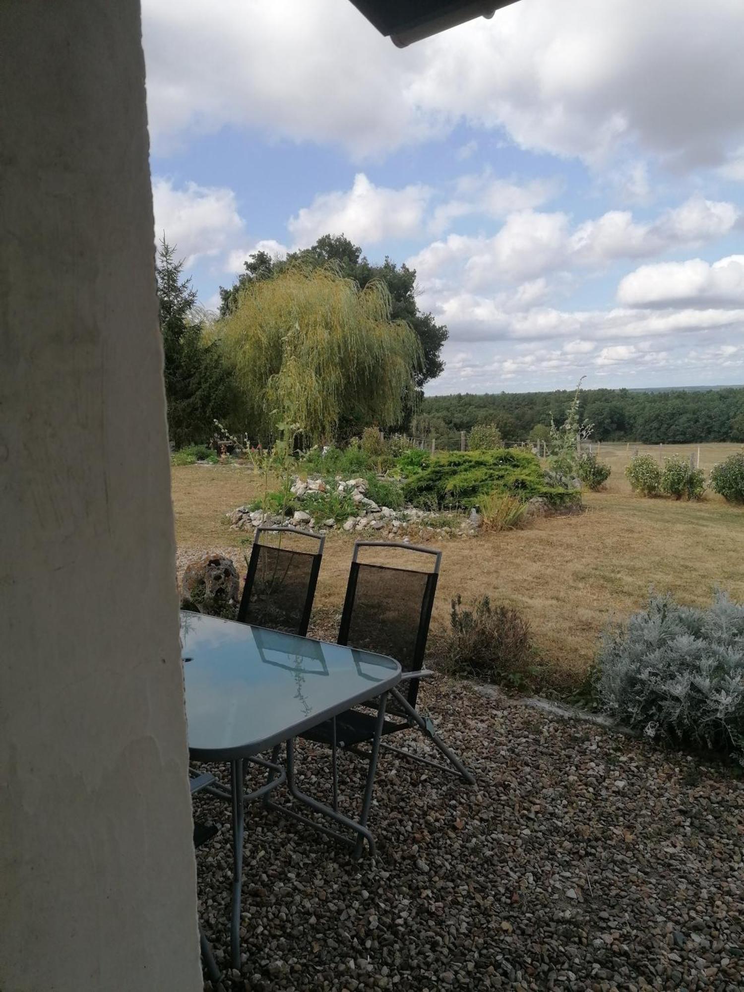 Gite 4 Pers, Jacuzzi, Piscine, Proche Futuroscope, Calme Et Nature A La Roche Posay لاروش بوزيه المظهر الخارجي الصورة